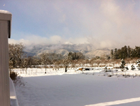 福島市内雪景色の写真