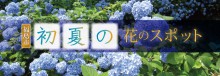 福島市初夏の花のスポットの画像