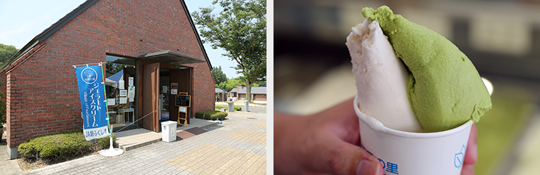 （写真左）ゲートを過ぎて右側に、大きな水車小屋の形をした店舗があります。　（写真右）甘くておいしい桃と抹茶のダブルアイスは300円です。
