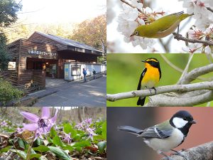 福島市小鳥の森の写真