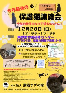 今年最後の保護猫譲渡会