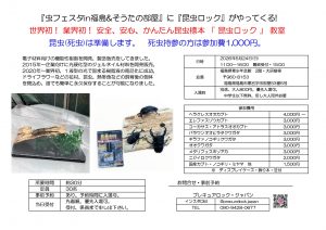 かんたん昆虫標本「昆虫ロック」教室