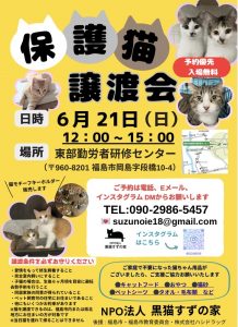 保護猫譲渡会