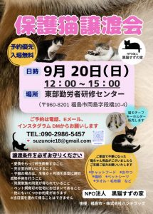 保護猫譲渡会