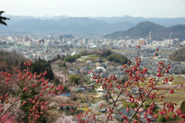 花見山から望む市街地の写真