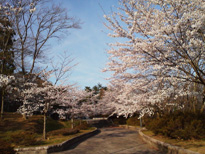 信夫山の写真