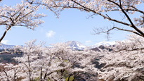 信夫山烏ヶ崎の写真