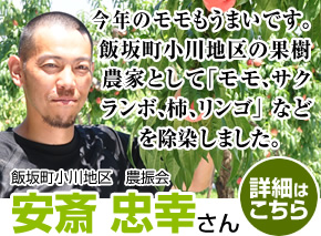 今年のモモもうまいです。飯坂町小川地区の果樹農家として「モモ、サクランボ、柿、リンゴ」などを除染しました。