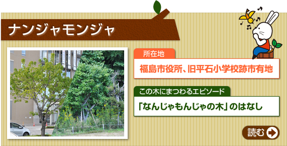 ナンジャモンジャ　所在地　福島市役所、旧平石小学校跡市有地　この木にまつわるエピソード　「なんじゃもんじゃの木」のはなし