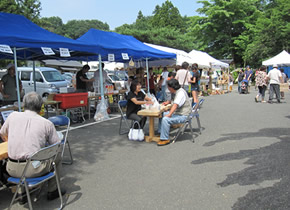 松川町あじさい小路の写真