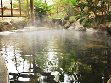 山根屋旅館の露天風呂の写真