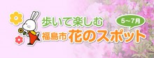 「歩いて楽しむ　福島市の花のスポット」のアイキャッチ画像