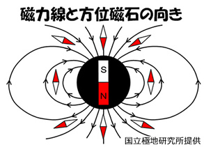 磁力線と方位磁石の向きの図