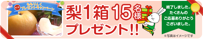 プレゼントキャンペーン2016 第一弾