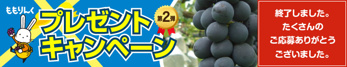 ももりんくプレゼントキャンペーン第2弾　ぶどう（巨峰）1箱（約2㎏）を15名様へプレゼント